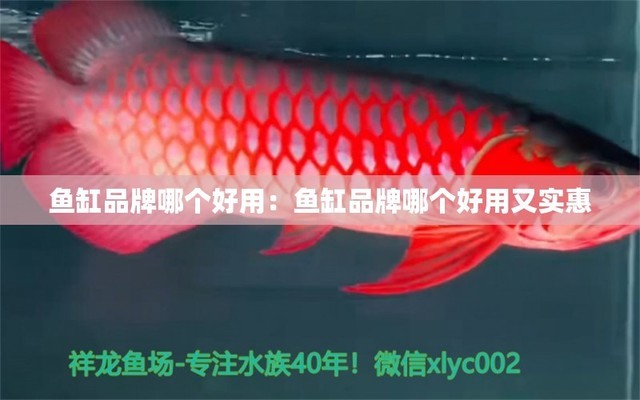 重慶訂做魚缸廠家有哪些（重慶訂做魚缸廠家有哪些地方）