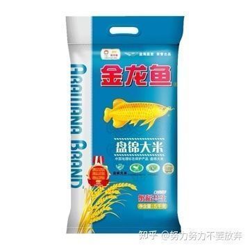 巴音郭楞蒙古自治州水族館請教各位老大我這龍20多厘米用什么燈好??？謝謝