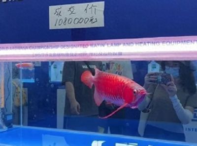 淄博乾海水族用品有限公司（淄博乾海水族用品有限公司电话）