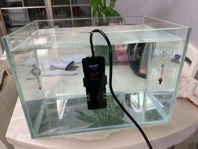 新型魚缸過濾材料（新型魚缸過濾材料有哪些）