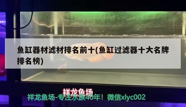 廣州芳村觀賞魚批發(fā)市場地址（廣州芳村魚具市場搬遷到哪里） 觀賞魚批發(fā)