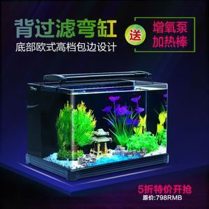 恐龍魚喂食時(shí)間（恐龍魚喂食時(shí)間表） BD魟魚