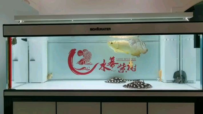 道真仡佬族苗族自治縣家家美水族館 全國水族館企業(yè)名錄