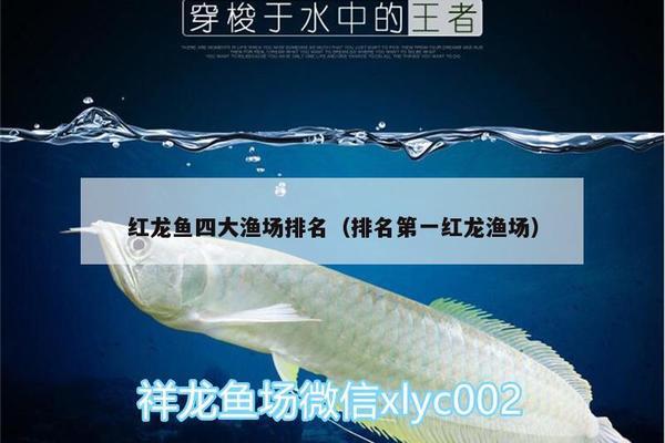 哈爾濱二手魚缸回收（哈爾濱二手魚缸回收電話）