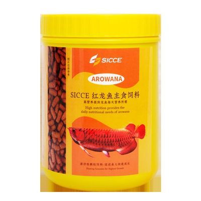 品牌龍魚缸排名第一（哪個品牌的龍魚缸排名第一） 龍魚百科