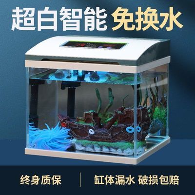 龍魚(yú)疾病大全圖片高清（龍魚(yú)疾病大全圖片高清大圖）