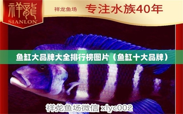 制作魚缸的過程視頻大全（制作魚缸的過程視頻大全圖片）