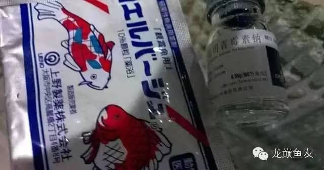 魚缸氧氣泵安裝視頻大全圖解（魚缸氧氣泵安裝視頻大全圖解教程）