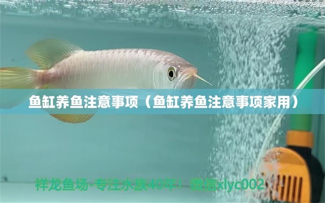 自制魚缸虹吸底濾（自制魚缸底濾虹吸系統(tǒng)）