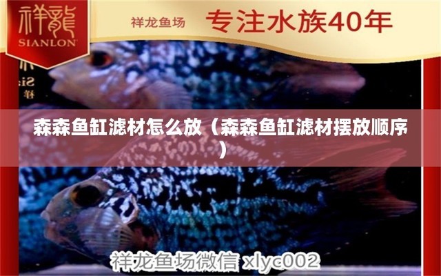 鋁合金魚缸架安裝視頻講解（鋁合金魚缸架安裝視頻講解大全）