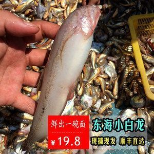 常州水族批发市场在哪个位置呀多少钱（常州水族批发市场在哪个位置呀多少钱啊）