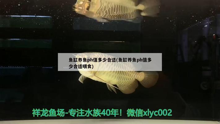 潮州魚缸生產(chǎn)廠家地址在哪里啊(潮州哪里有水族店) 速倍妥魚糧魚藥