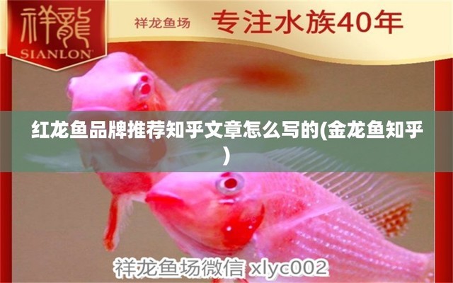 哈爾濱哪賣(mài)魚(yú)缸石頭好（哈爾濱哪賣(mài)魚(yú)缸石頭好用）