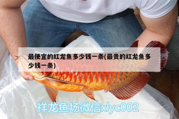 濮陽魚缸換水電話多少錢（濮陽魚缸換水電話多少錢?。? title=