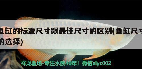 過濾魚缸水渾濁原因和解決方案圖（過濾魚缸水渾濁原因和解決方案圖解）