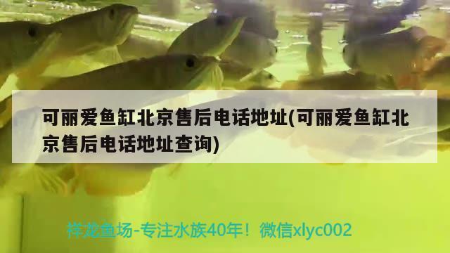 鞍山市鐵東區(qū)黑沙水族箱部（鞍山黑鯊水族賣的魚缸怎么樣）