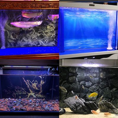 8米魚缸用多厚的玻璃好看及2.2米魚缸 水族用品