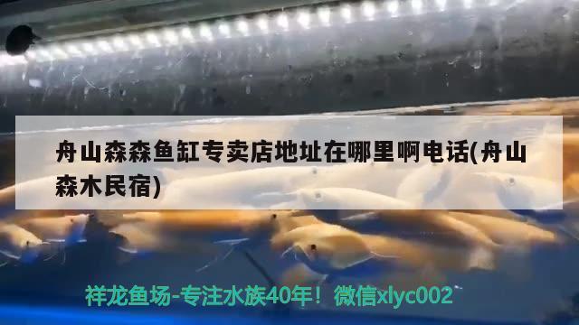 魚缸怎么變空氣缸視頻（魚缸怎么變空氣缸視頻教程）