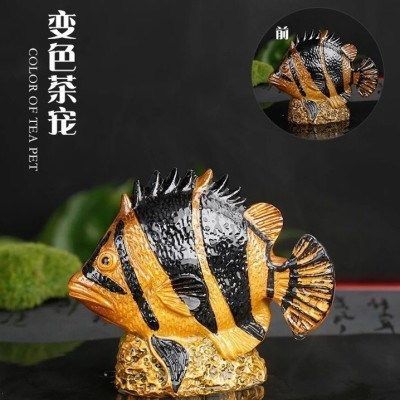 委內(nèi)瑞拉奧里諾三間魚(yú)（委內(nèi)瑞拉帝王三間魚(yú)）