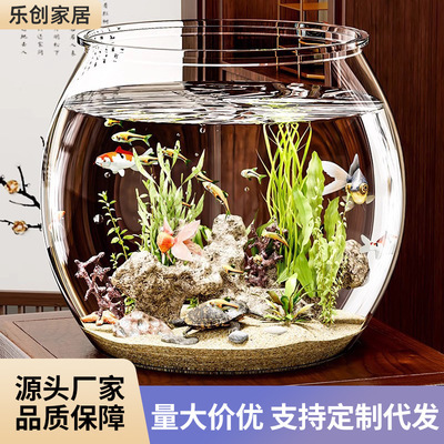 廣州市觀賞魚批發(fā)市場(chǎng)有幾個(gè)（廣州市觀賞魚批發(fā)市場(chǎng)有幾個(gè)地方） 觀賞魚批發(fā) 第1張