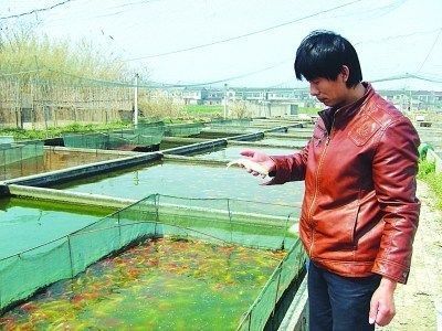 滎陽市京城路君樂水族館（滎陽市京城路君樂水族館電話）