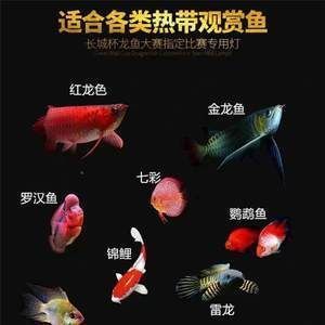 梧州魚缸訂做店電話號碼（梧州魚缸訂做店電話號碼多少）