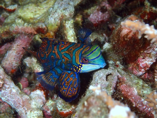 哈尔滨市道外区德宝水族馆（哈尔滨市道外区德宝水族馆电话）