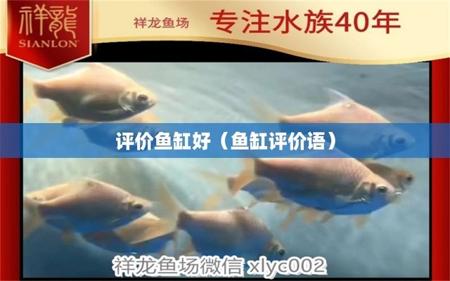 吳江二手魚缸交易平臺電話（吳江二手魚缸交易平臺電話號碼）