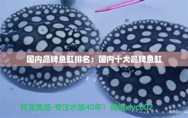 魚缸過濾器怎么排空氣視頻（魚缸過濾器怎么排空氣視頻教程）