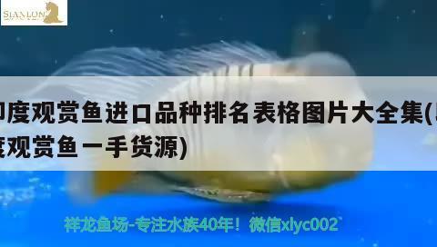 平果縣德記潛龍水族魚缸器材經(jīng)營店（平果龍記河魚館）