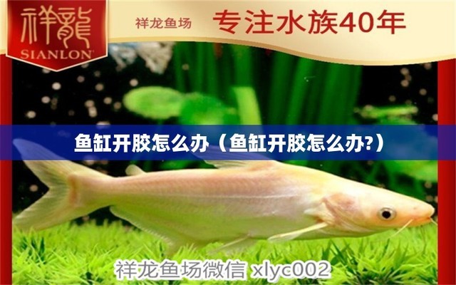 綏化水族館說(shuō)魚(yú)～搜魚(yú)初單