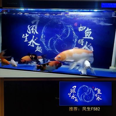 魚缸擦缸神器圖片（擦魚缸專用工具）