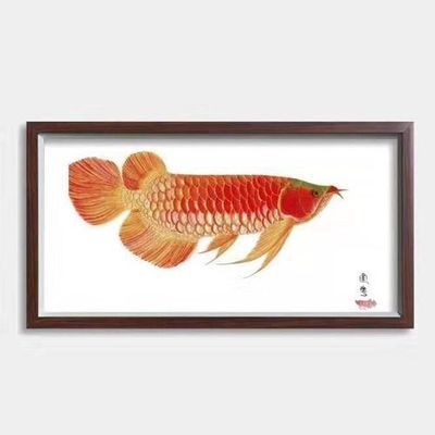 龍魚品種與價格對應(yīng)表（關(guān)于龍魚的幾個疑問） 水族問答