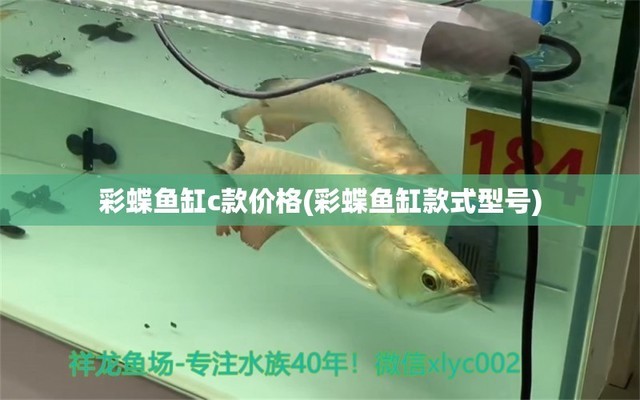 淘寶哪家魚缸好（淘寶哪家魚缸好用） 祥龍水族醫(yī)院