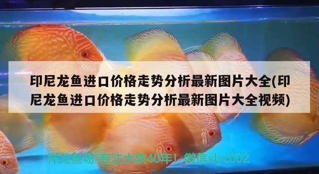 陸良縣中樞鎮(zhèn)名典裝潢花藝水族館（陸良縣中樞鎮(zhèn)名典裝潢花藝水族館電話）