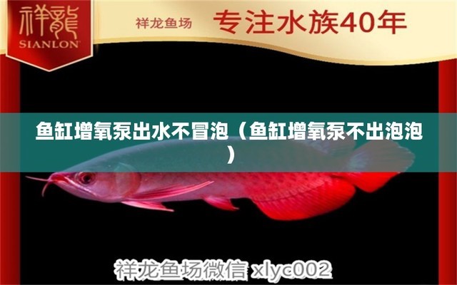 金線魚是海魚嗎？(金魚是不是海魚)