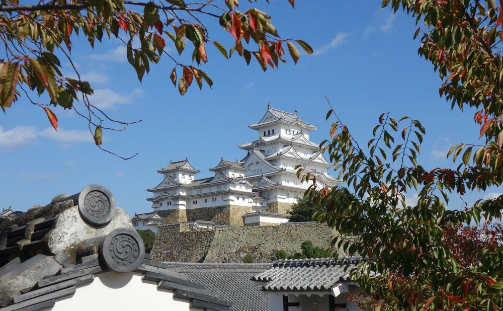 openFeign引入失败