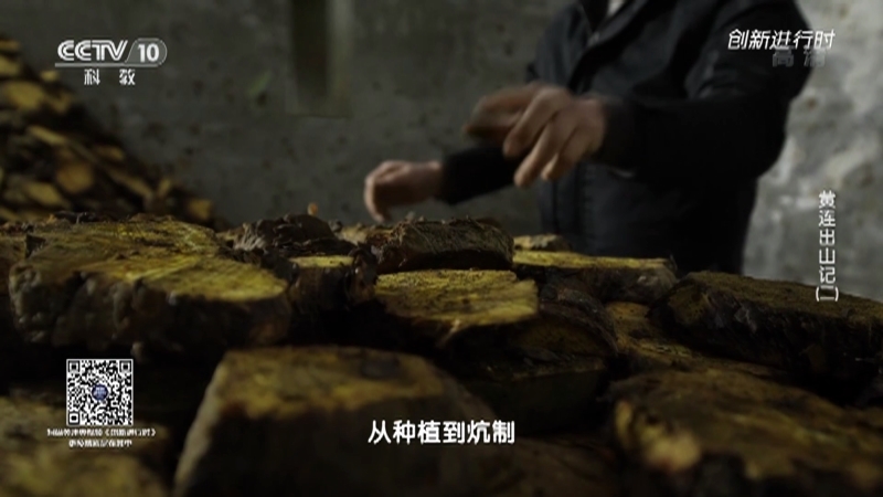 《创新进行时》 20210511 黄连出山记（二）