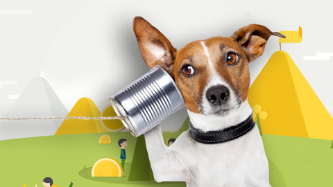 宠物的听觉为啥很厉害？