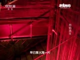 原来如此 《原来如此》 20151108 烈焰逃生