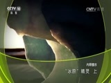 地理中国 《地理中国》 20161017 “冰原”精灵（上）