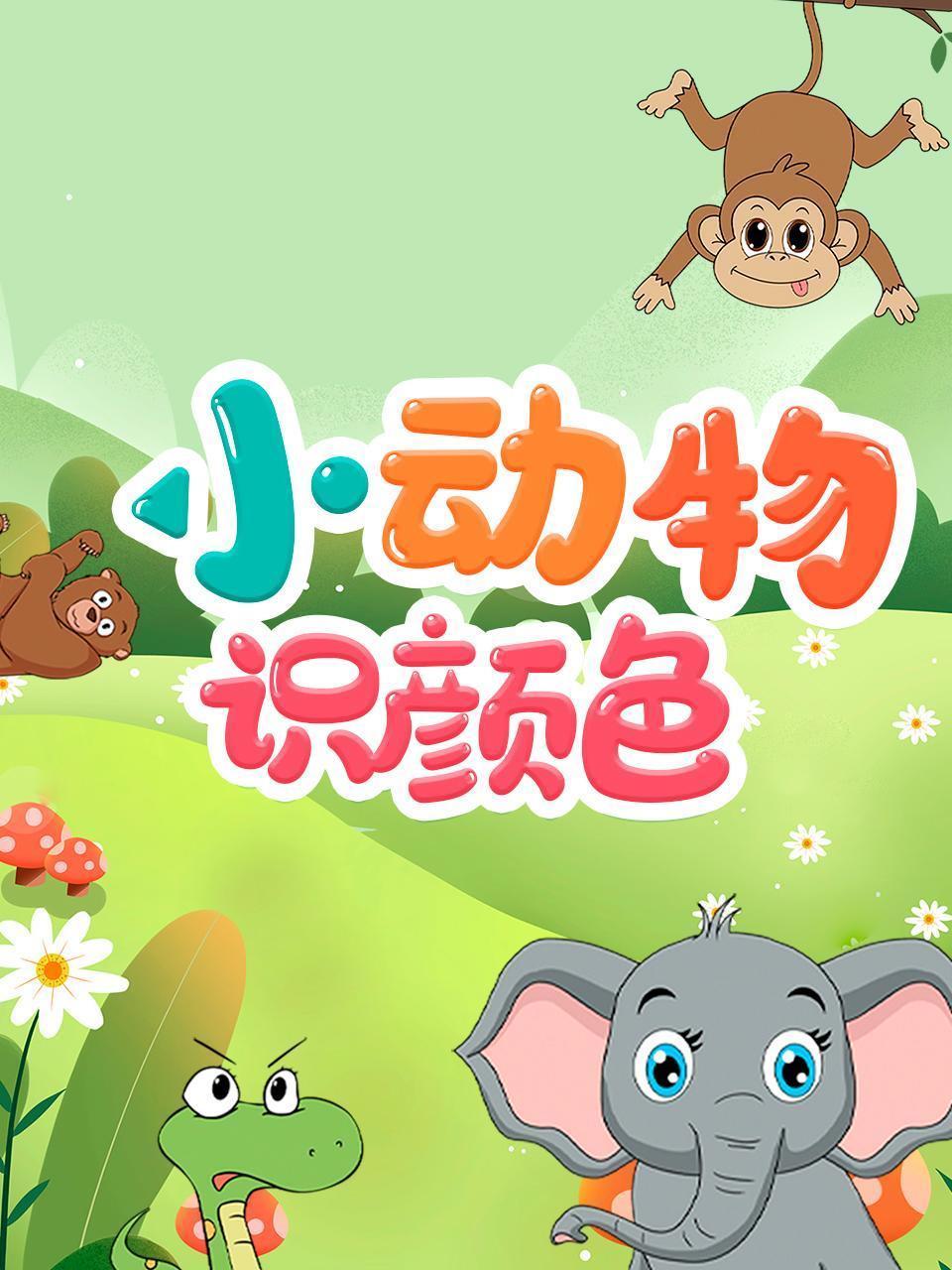 小动物识颜色