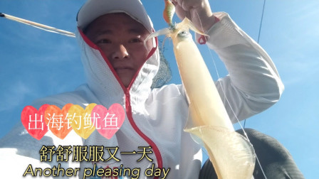 南澳岛赶海日记 听说最近鱿鱼很多，彪哥也出海钓鱿鱼，其实鱿鱼很容易钓你来你也行