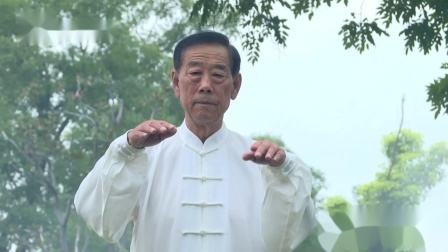 开练吧功夫 四大金刚之一，马云师父太极大师王西安展示太极功法！