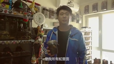 二更视频 这么大的长虫 真敢玩 529