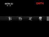 动物世界 《动物世界》 20111206