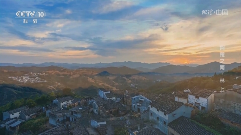 地理中国 《地理·中国》 20240627 荆楚之南·林（上）