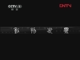 动物世界 《动物世界》 20120201