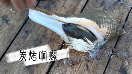 南澳岛赶海日记 捕鱼收获这种响螺，被蔡澜先生列为死前必吃的碳烤响螺，就是这种