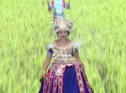 321动起来 广场舞《红坡贡米香》